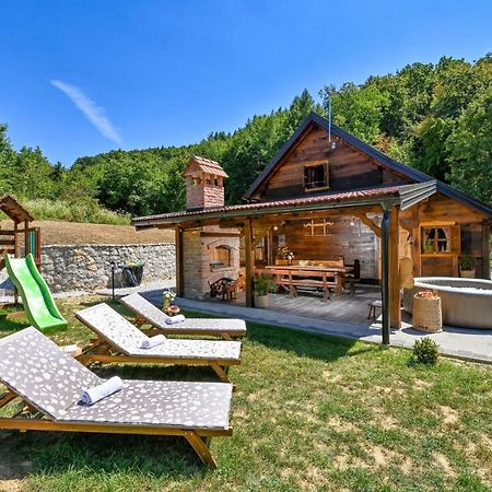 Pet Friendly Home In Varazdin Breg With Jacuzzi Eksteriør bilde